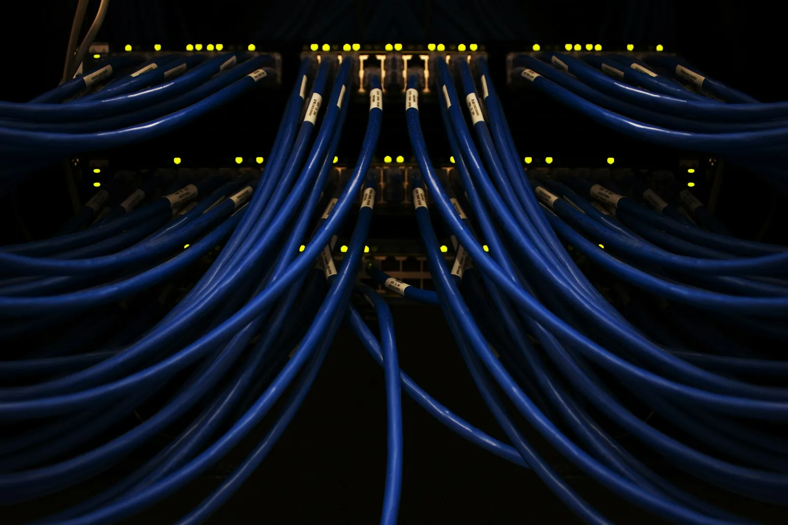 Rows of blue network cables connected to illuminated equipment